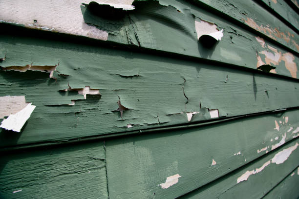 Best Shed Removal  in Markle, IN